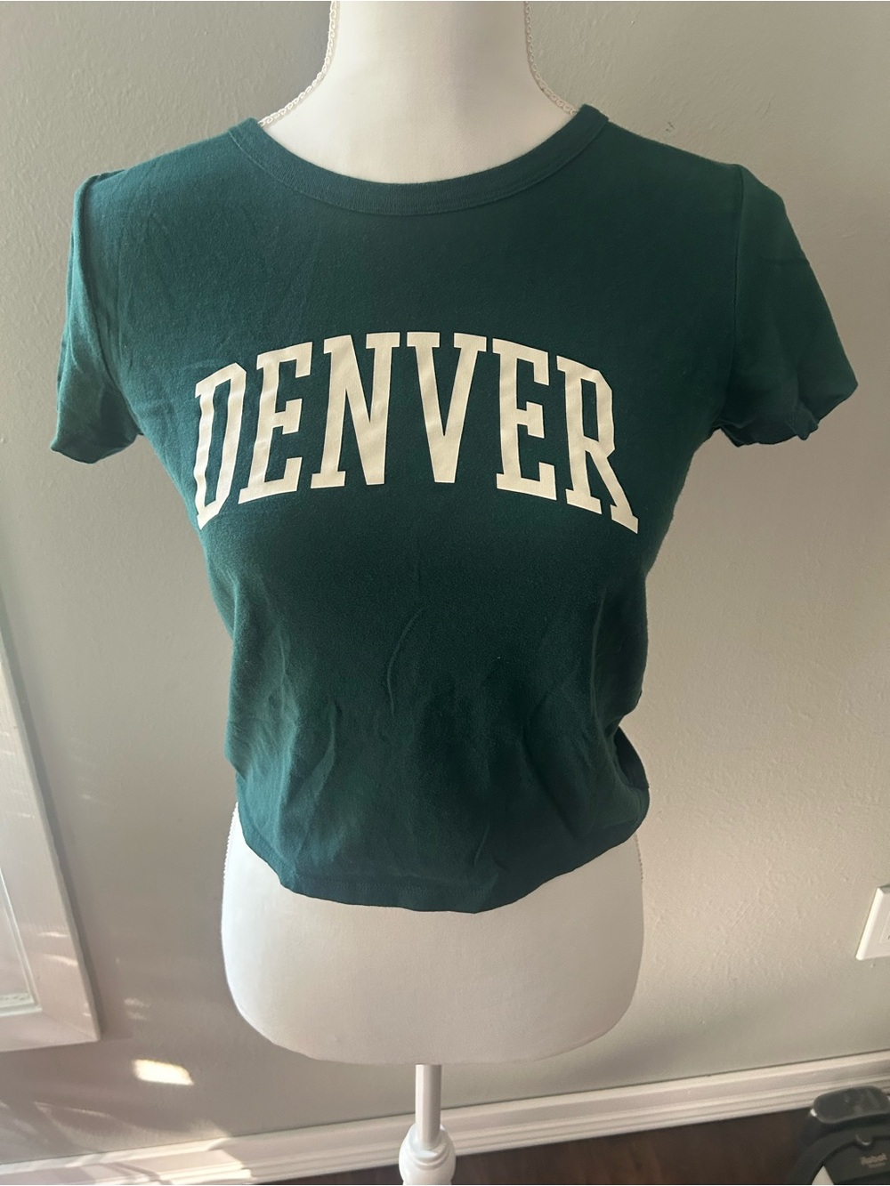 Hollister Denver Graphic Crewneck Tee - Dark Green